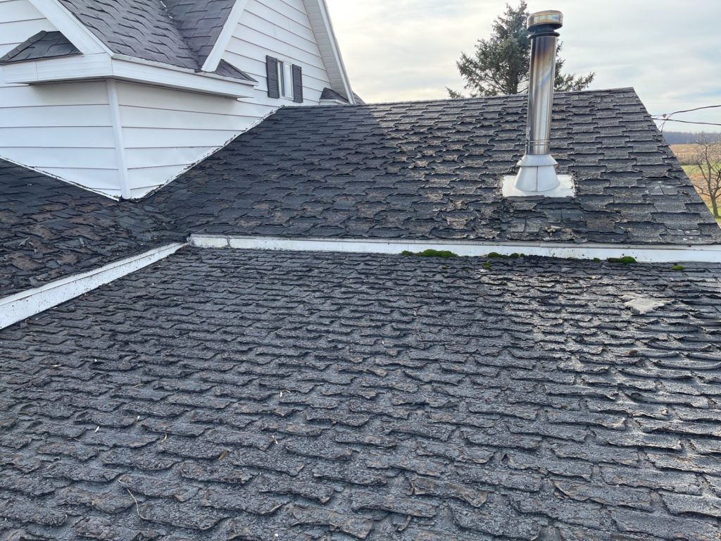 Severely curled and deteriorating asphalt shingles